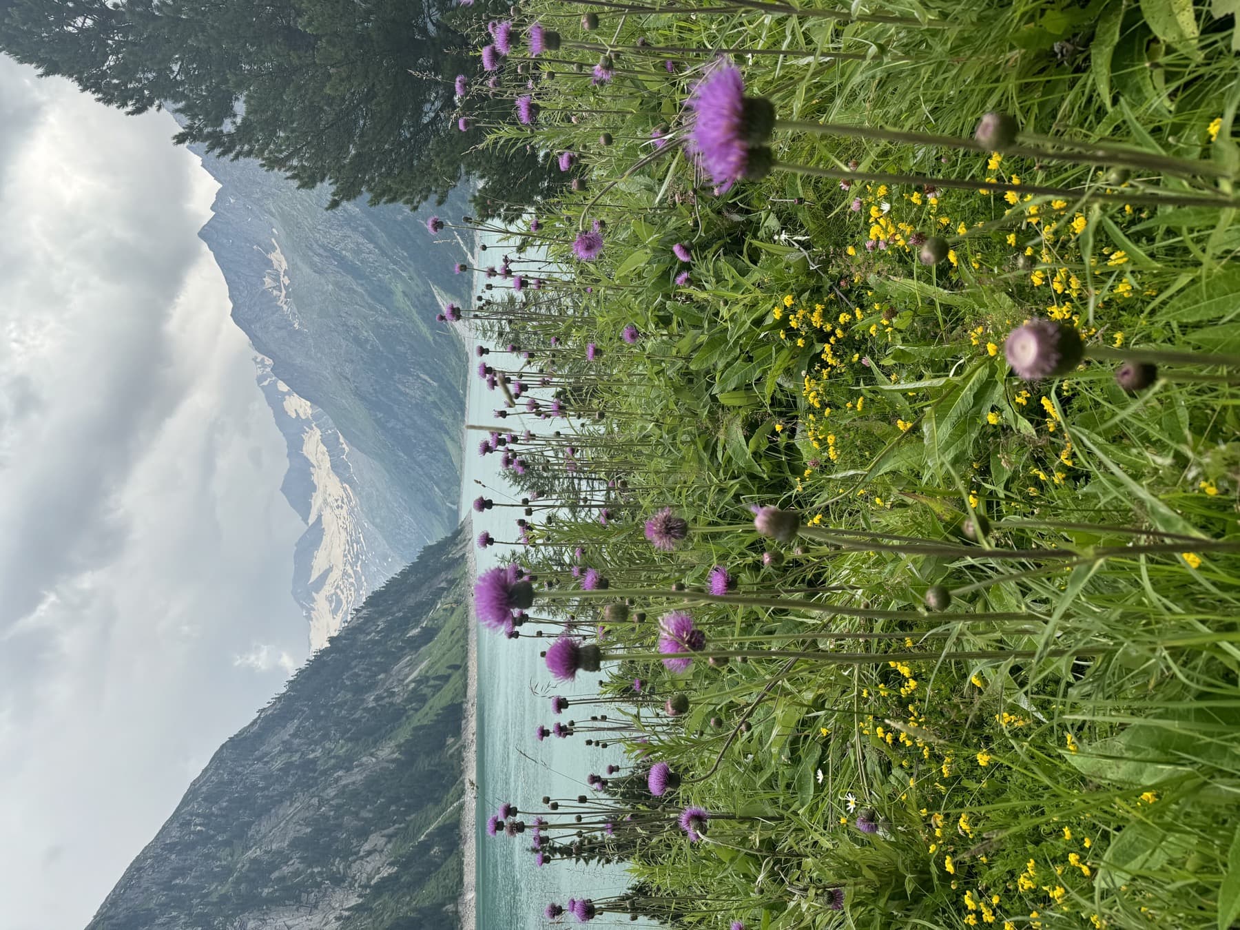 Wanderung mit Kindern in den Bergen