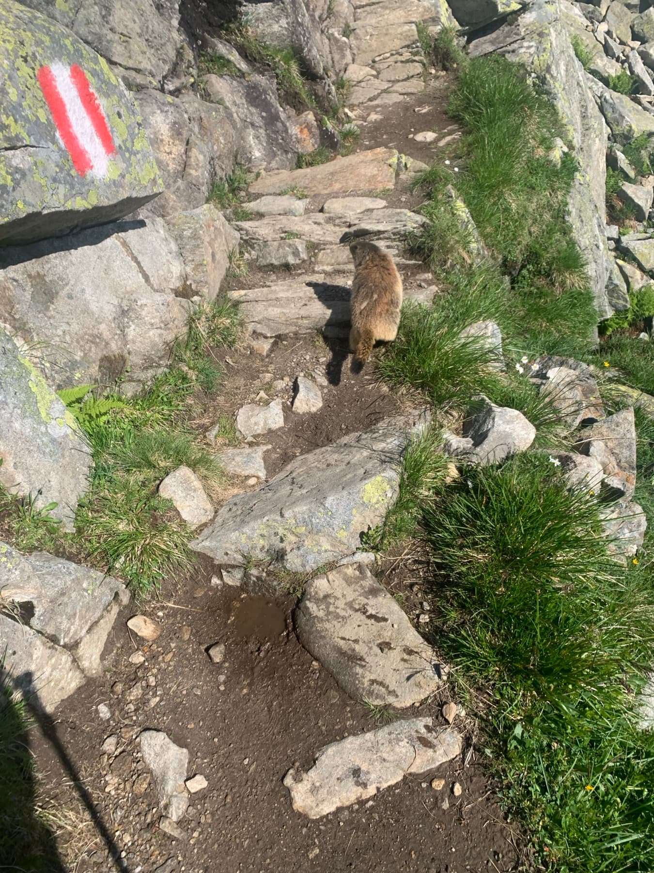 Hüttentour im Zillertal mit jopala